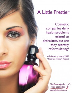 Report on Toxic chemicals in cosmetics