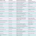 Chemicals of Concern in Feminine Care Products