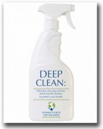 deep clean report cover