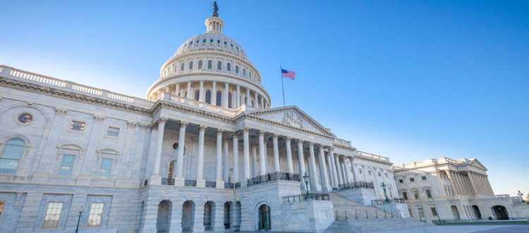 Washington DC Capitol Building