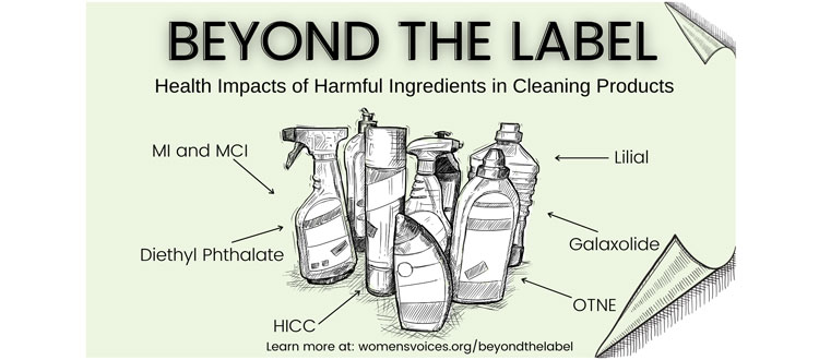 About Cleaning Product Ingredients