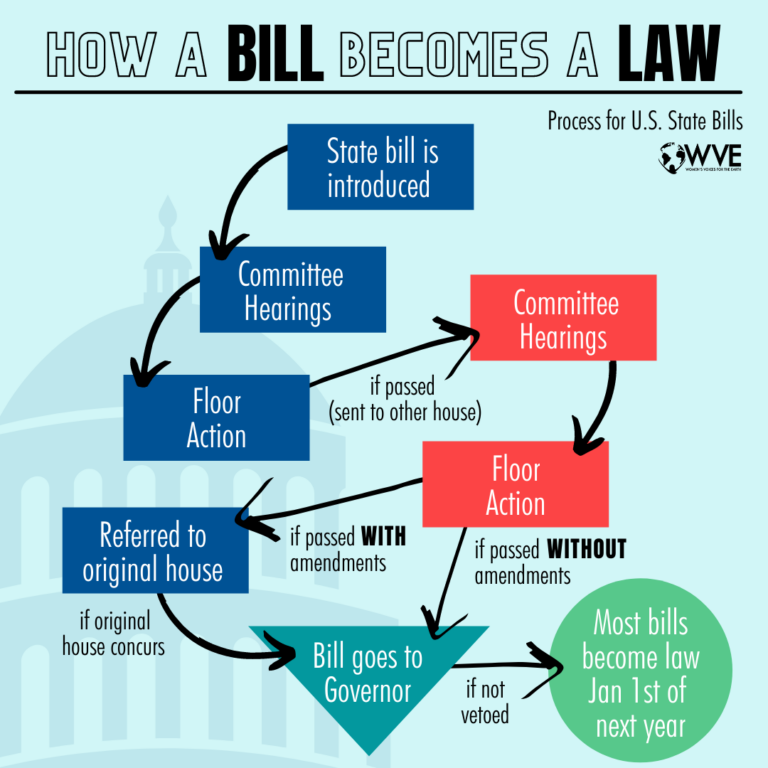 What's The Difference Between State, Federal And Local Legislation ...